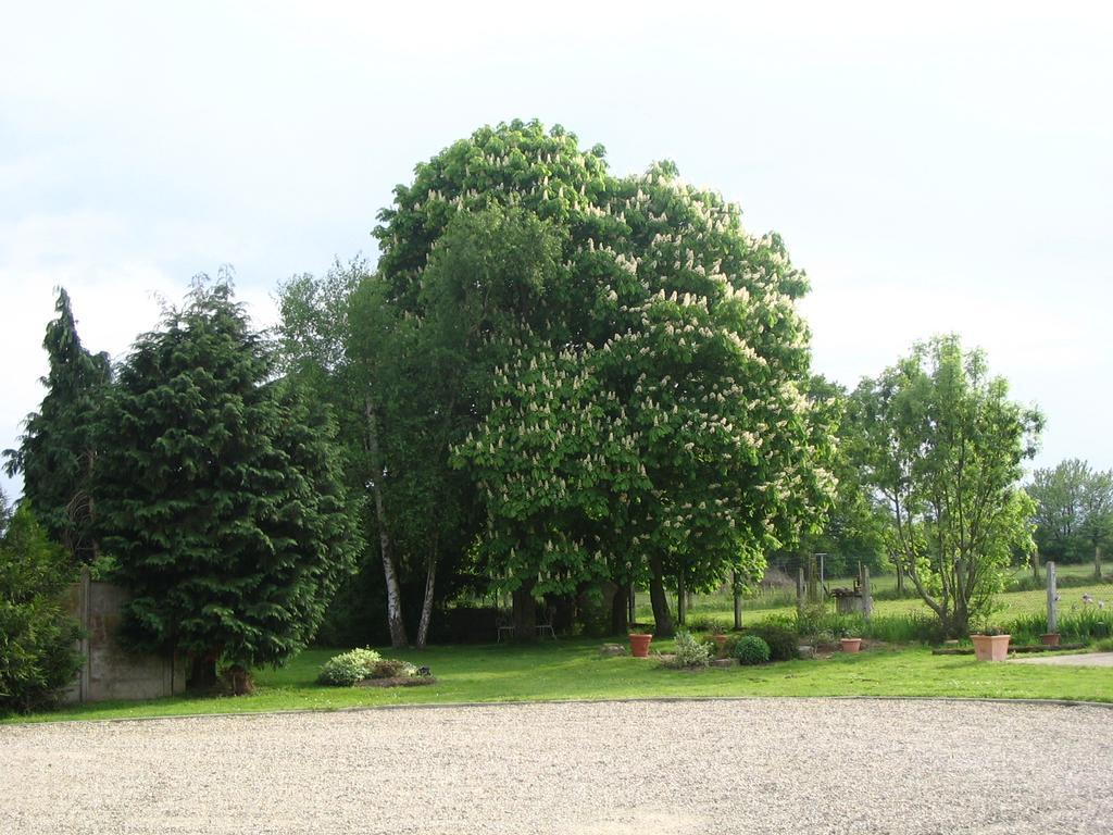 Bed and Breakfast Les Malvaux Huriel Exterior foto